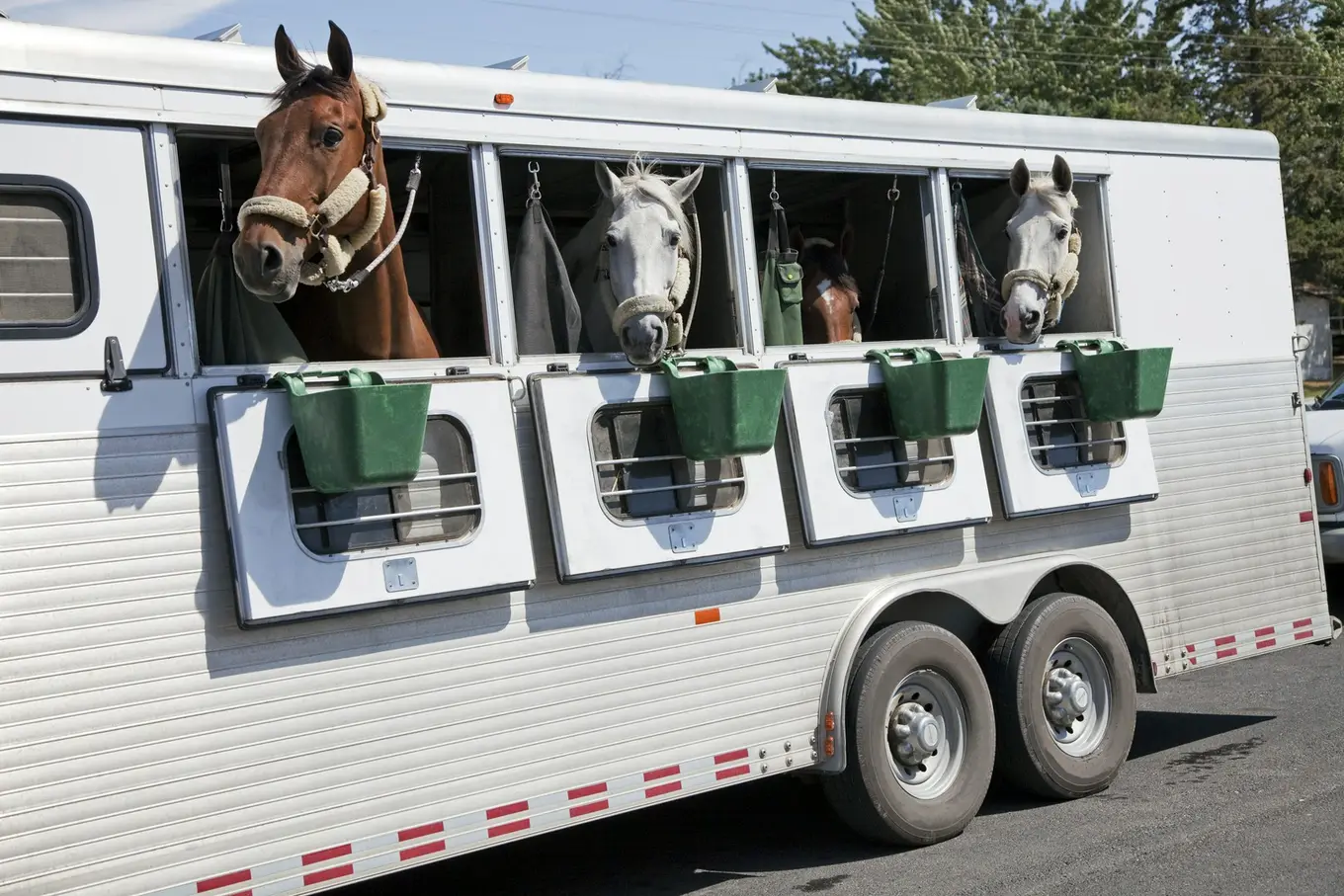 transport koni